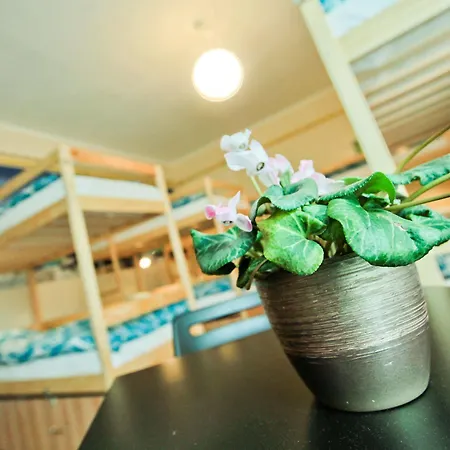 Poco Loco Auberge de jeunesse *